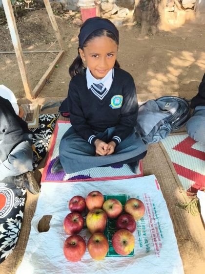 Market day – photo 13